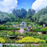 Atlanta Botanical Garden