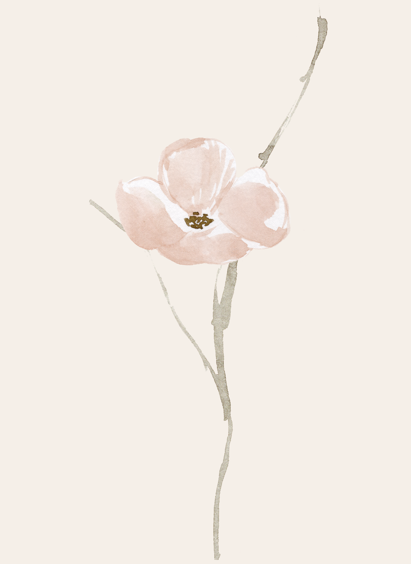 The Wedding Website of Edie Sanders and Stark Gallagher