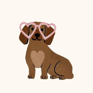 Our puppy fund!