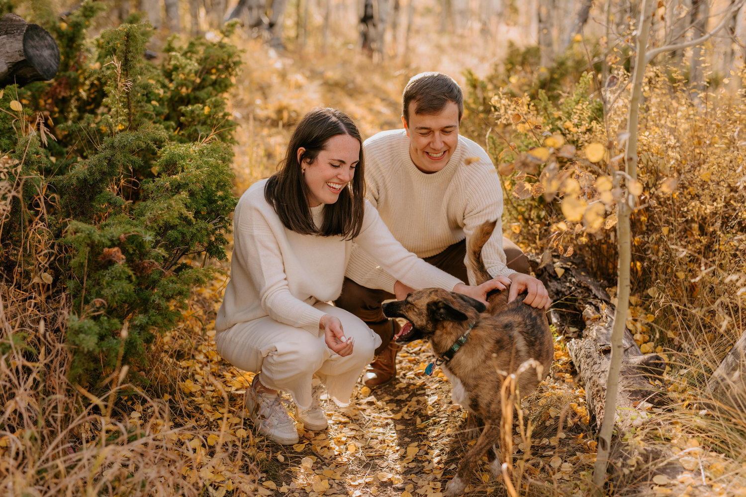 The Wedding Website of Madeline Ludwig and William Rainey