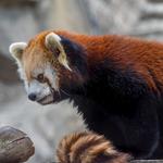 Milwaukee County Zoo