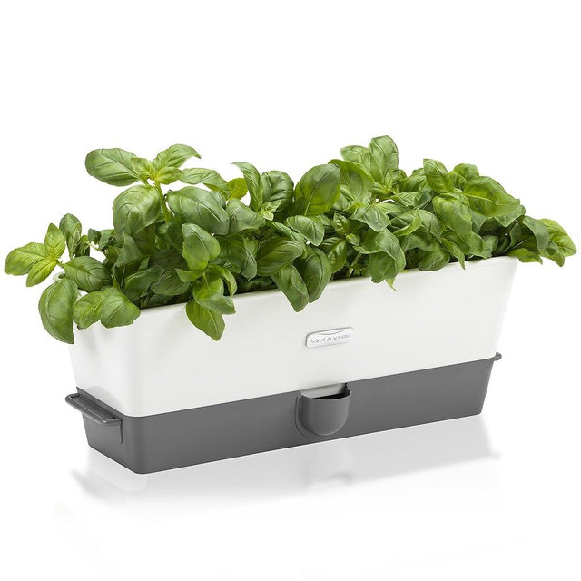 Cole & Mason Burwell Self-Watering Potted Herb Keeper Triple