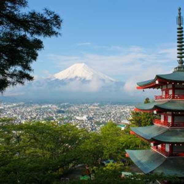 Honeymoon - Japan! (Venmo Option)