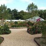 Planting Fields Arboretum