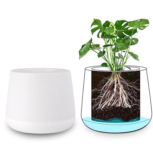 6 inch Plant Pots for Plants with Drainage Hole Unique Deep Reservoir for All House Plants, Indoor Planters,Flowers, and Seeding Nursery,Self-Watering and Aerating