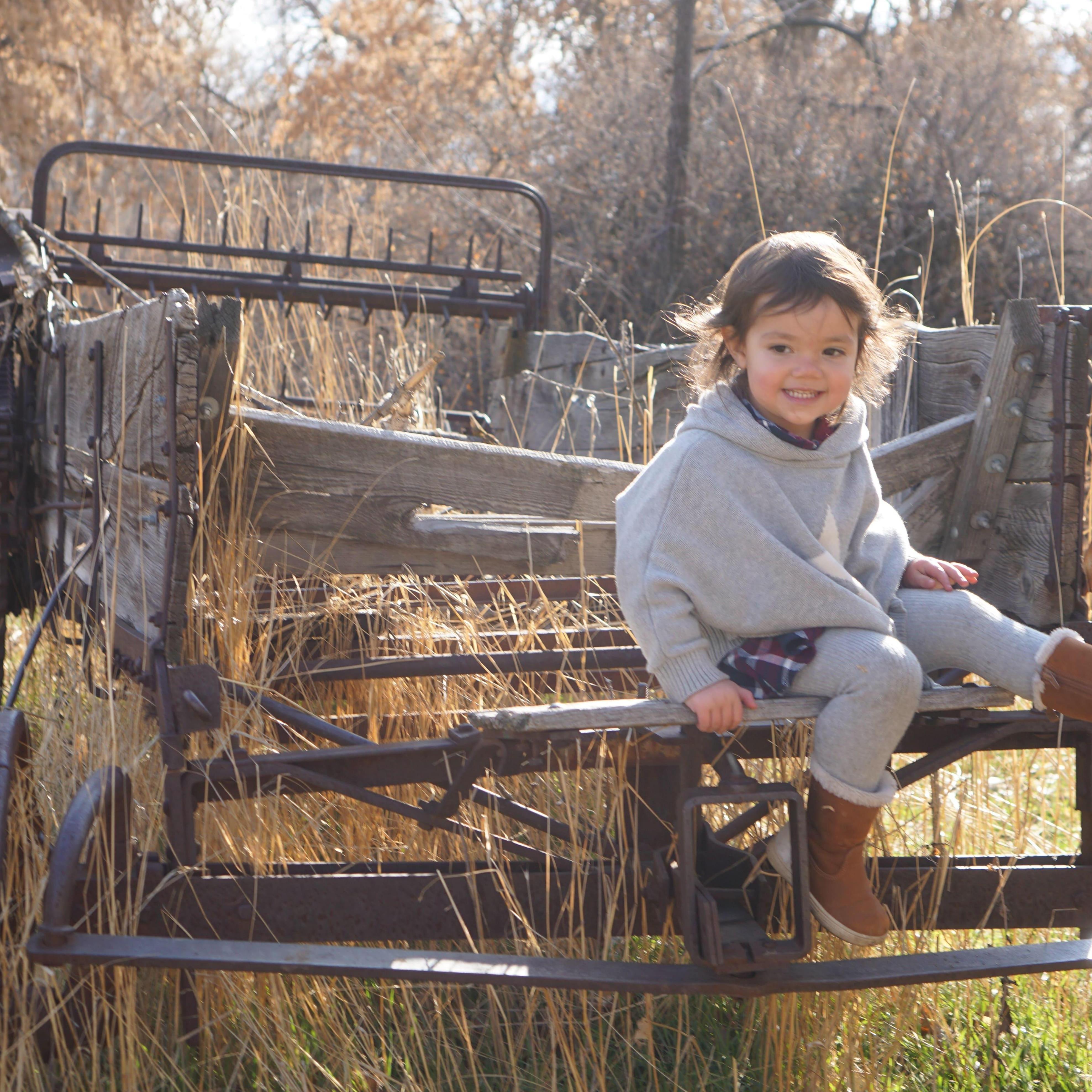 Wheeler Farm