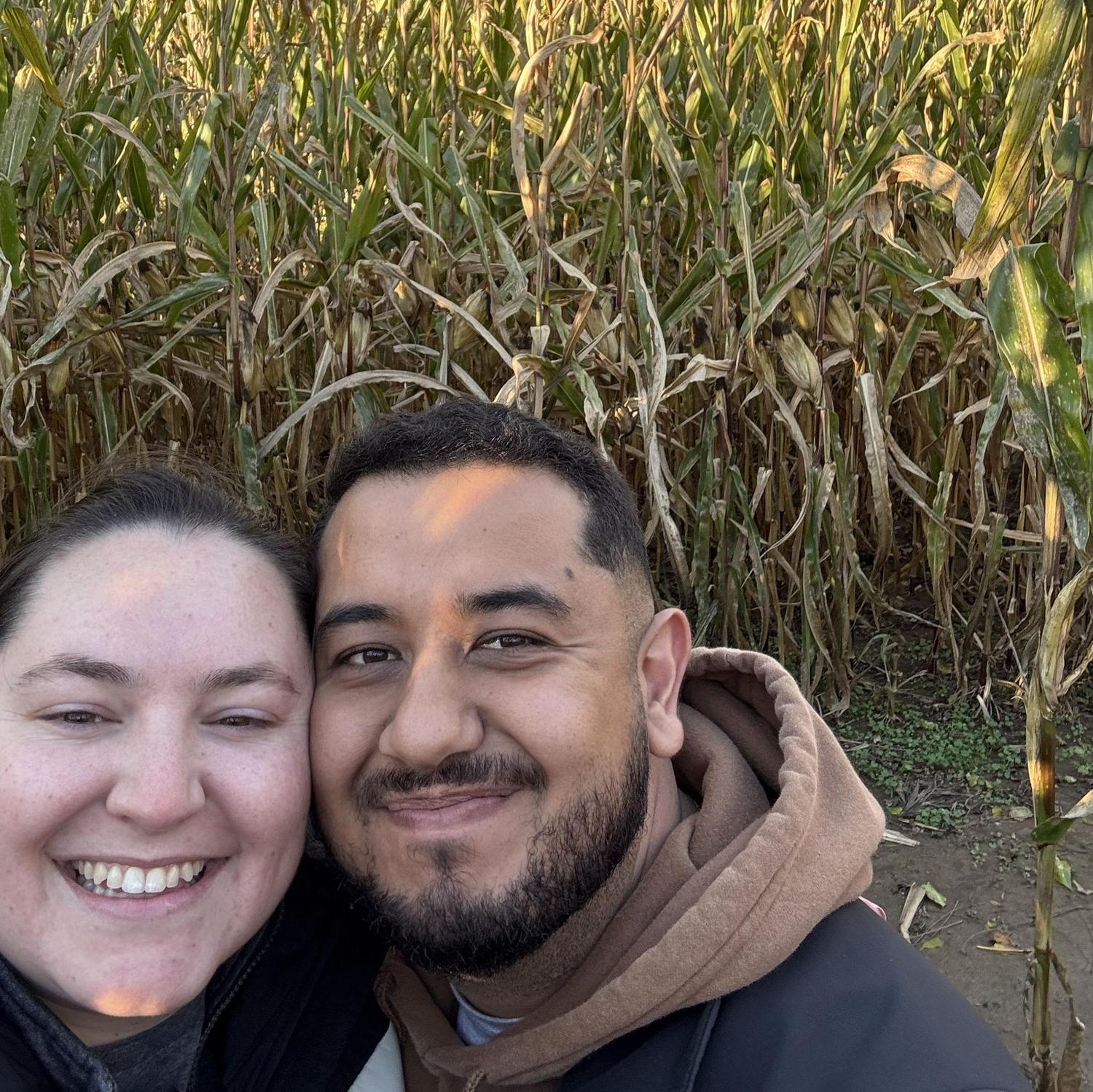 Getting lost in a corn maze
