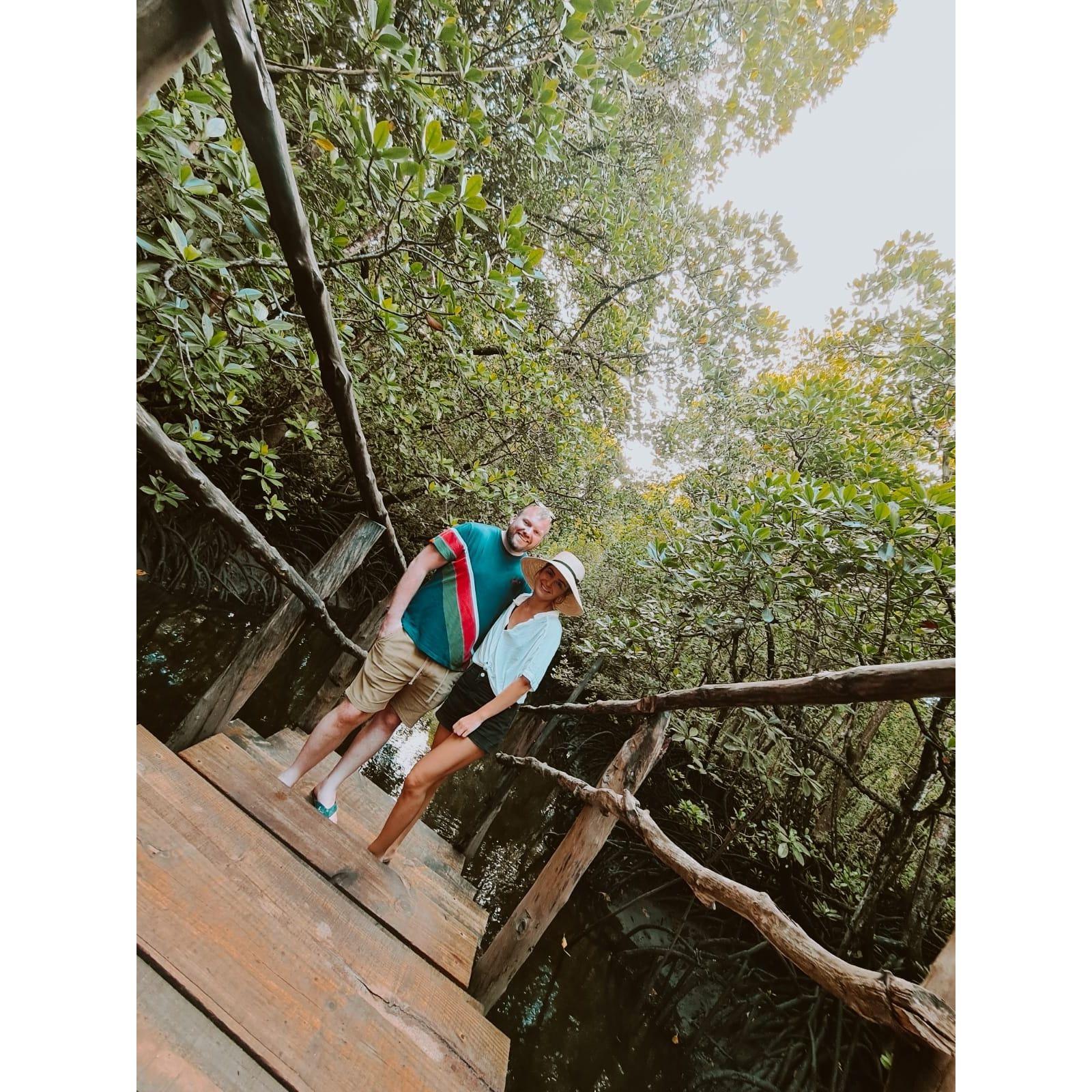 Touring the jungle in Tanzania