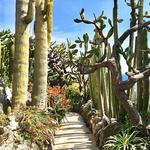 Gardens in Monaco
