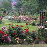 Descanso Gardens
