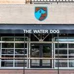 The Water Dog