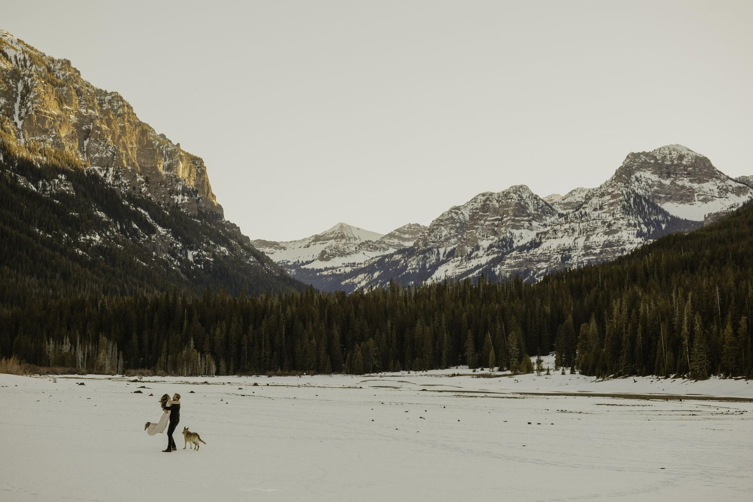 The Wedding Website of Blair Fraedrich and Joe Sheehan