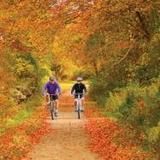 Haley Farm State Park