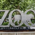 Philadelphia Zoo