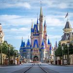 Magic Kingdom Park