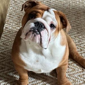 house project & rudy tudy fund