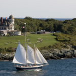 Harbor Tour