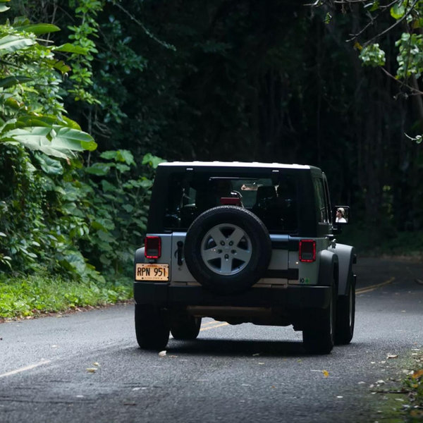 Honeymoon car rental