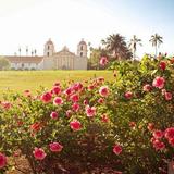 Mission Rose Garden