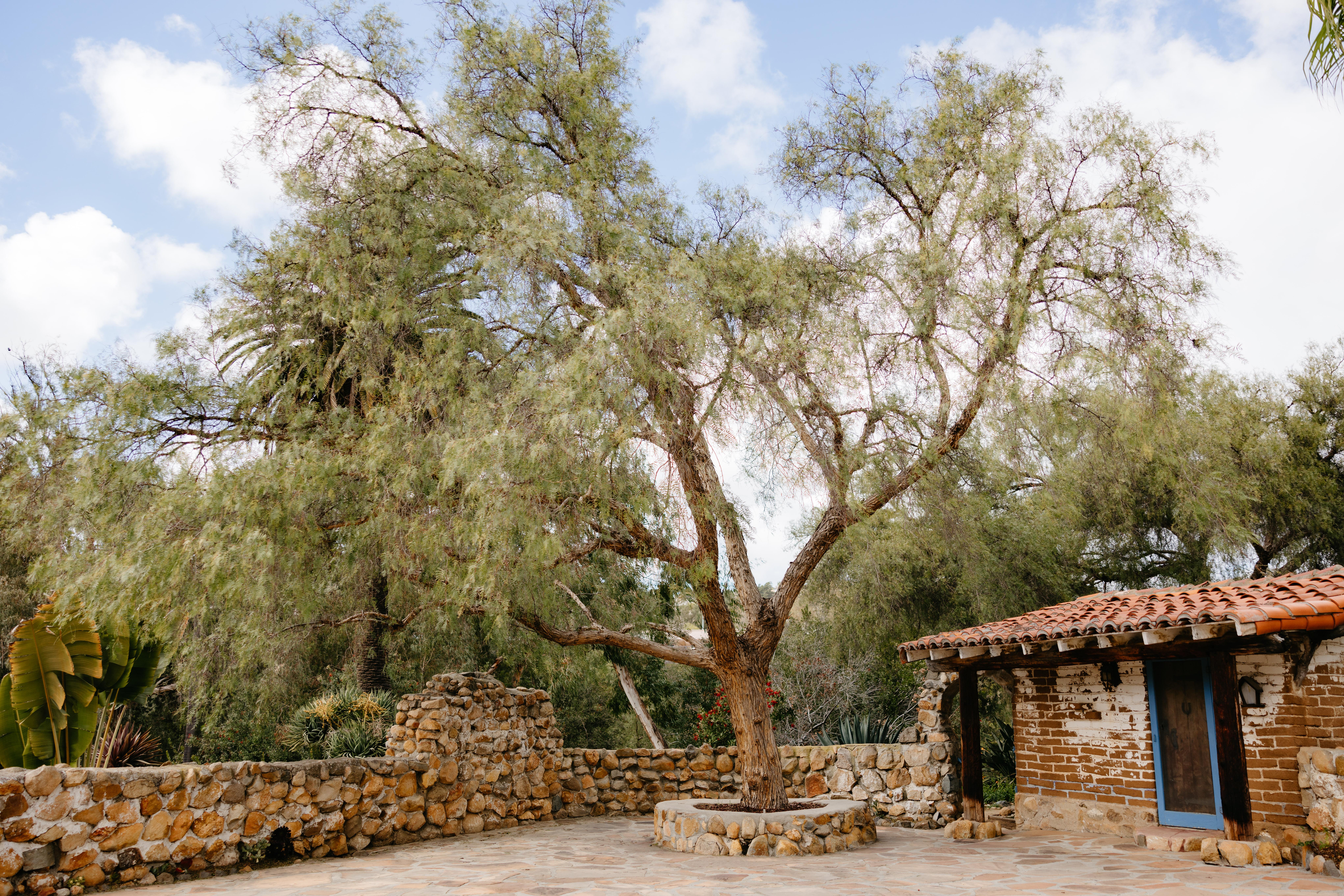The Wedding Website of Laura Cole and Joe West