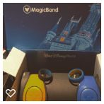 Our Magic Bands