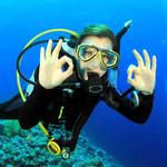 Diving at Anthony's Key Resort