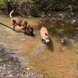 Gully Brook Park