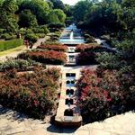 Fort Worth Botanic Gardens