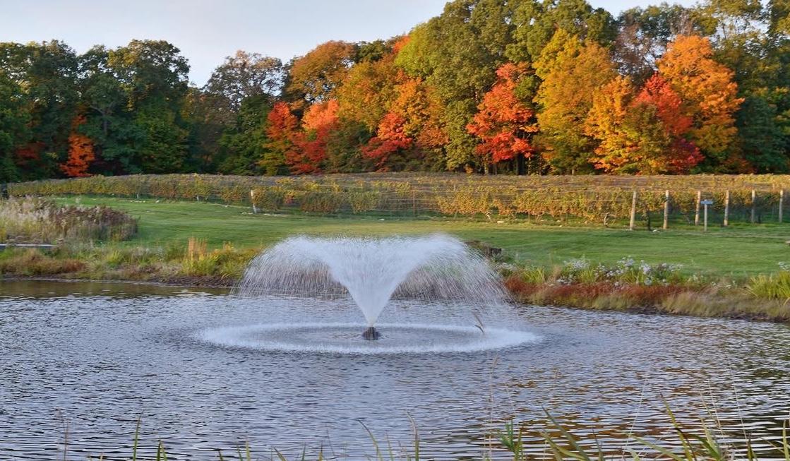 The Wedding Website of Carmela Tayag and Tyler Burket