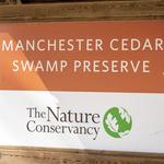 Manchester Cedar Swamp Preserve (TNC)