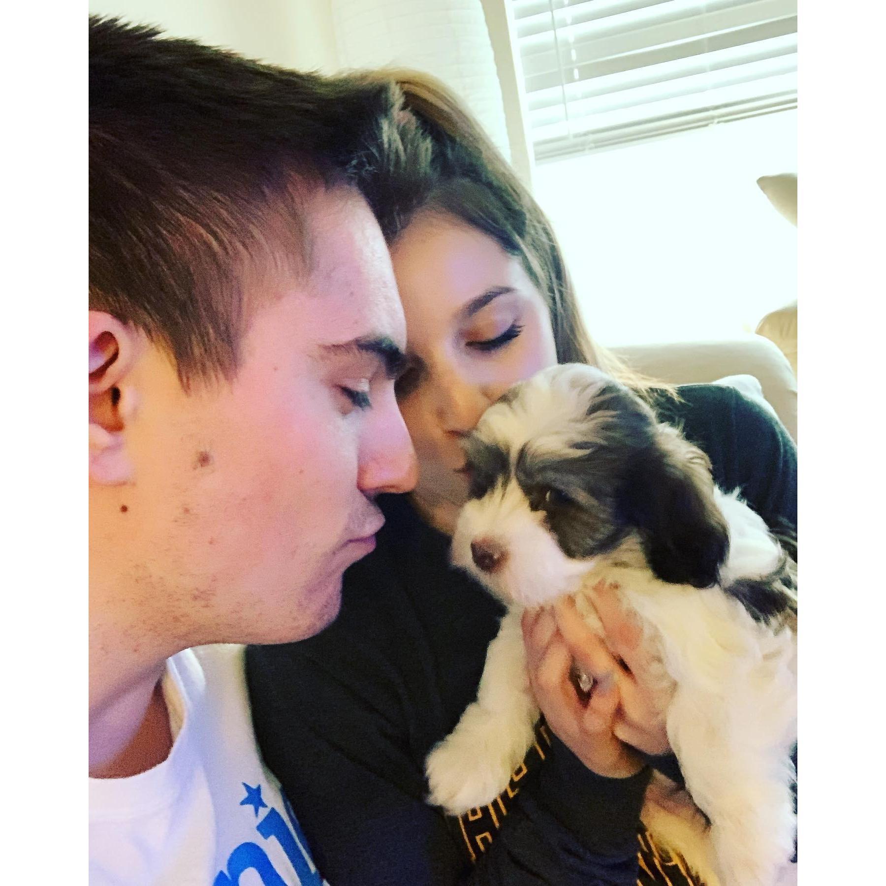 2020- Getting our fur baby- Tucker