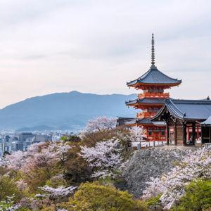 Our Japan Honeymoon Fund