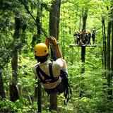 ArborTrek Canopy Adventures