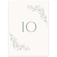 Table Number