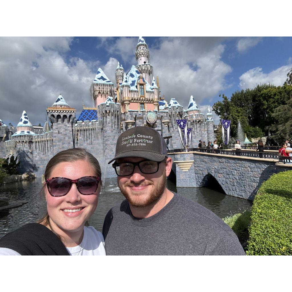 The Disneyland Castle.