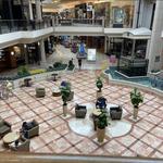 The Mall at Wellington Green
