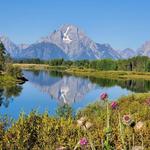 Wild Wyoming Tours