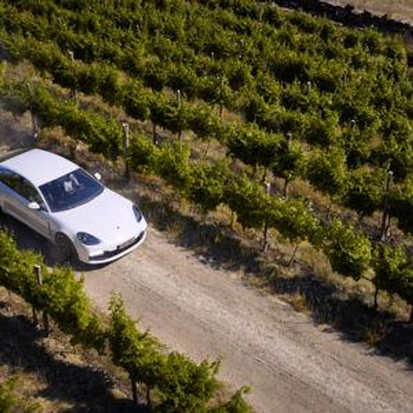 Car Rental