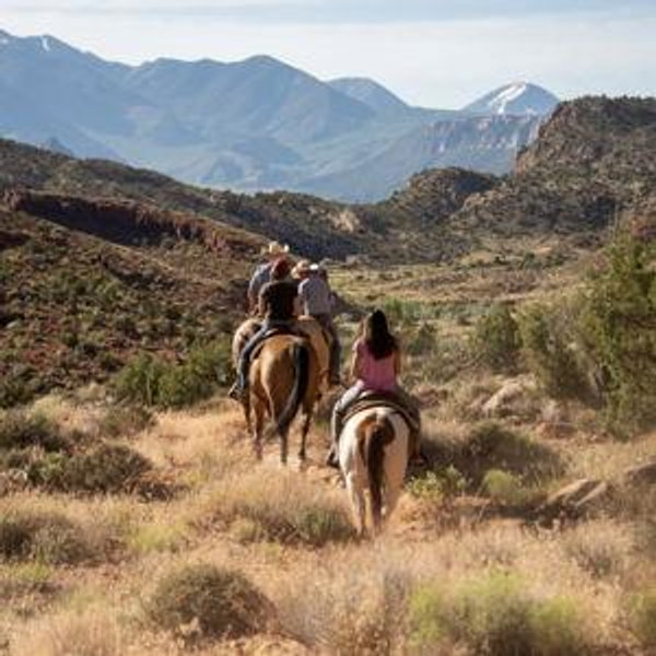 Horseback Riding On Our Honeymoon