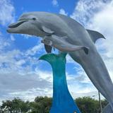 Dolphin Research Center