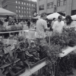 Haymarket Farmers' Market