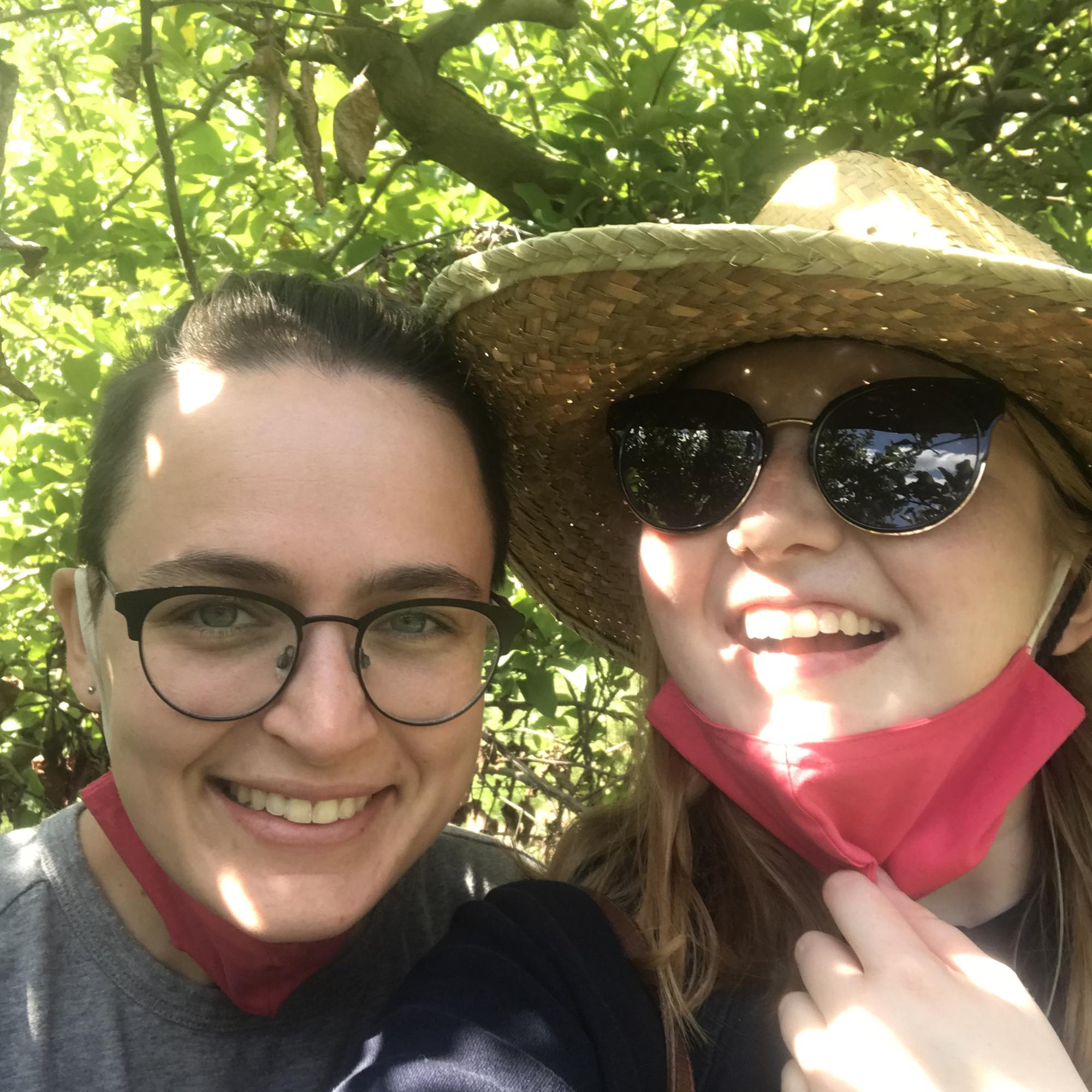 Our annual apple orchard trip, 2020