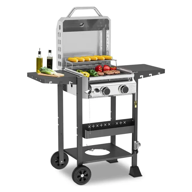 ZAFRO 2-Burner Propane Gas BBQ Grill, 16000 BTU Stainless Steel Barbecue with Cast Iron Grates Side Storage Shelves, Top Lid