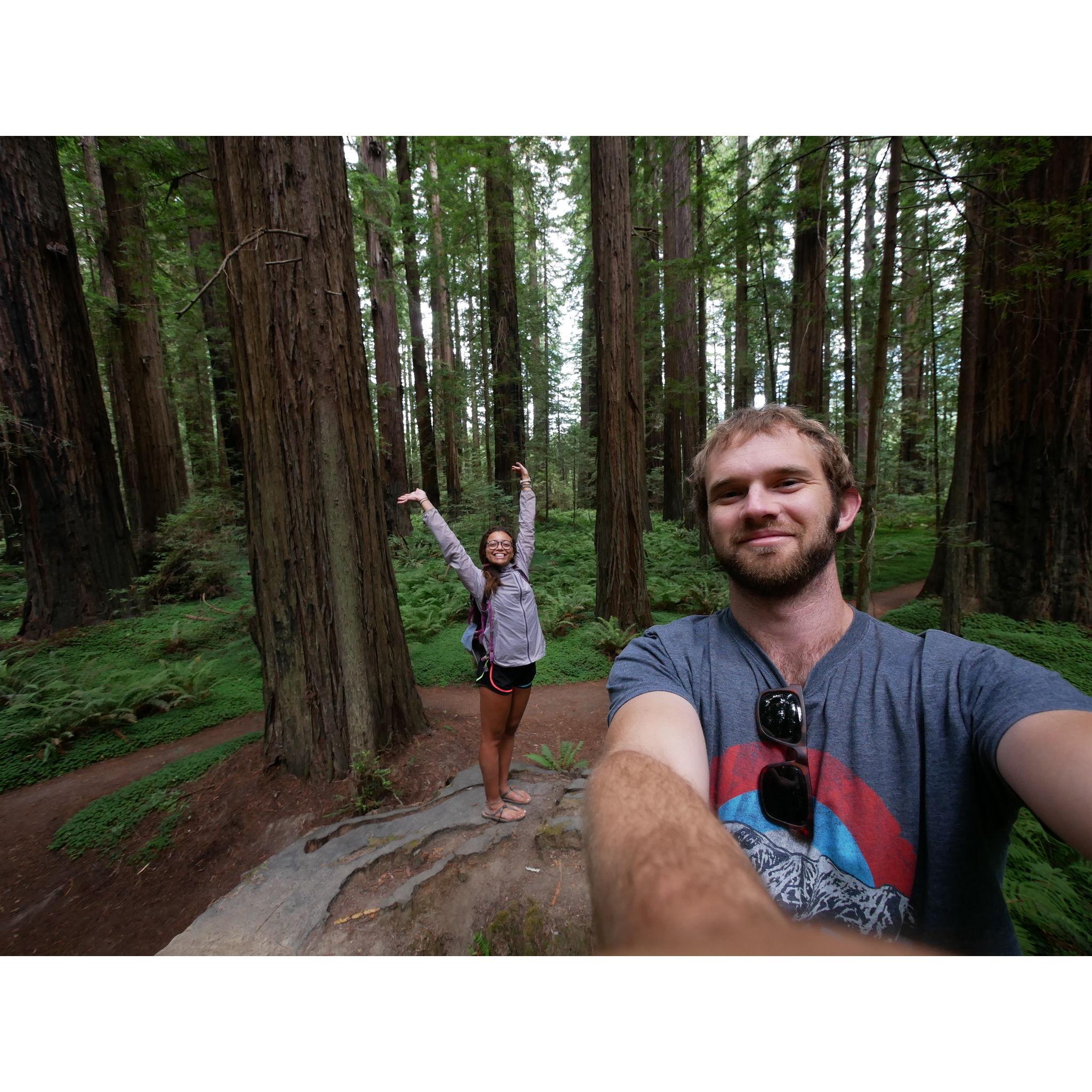Exploring the redwoods at Redwood National Park, CA