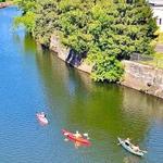 Kayaking Canal Harbor