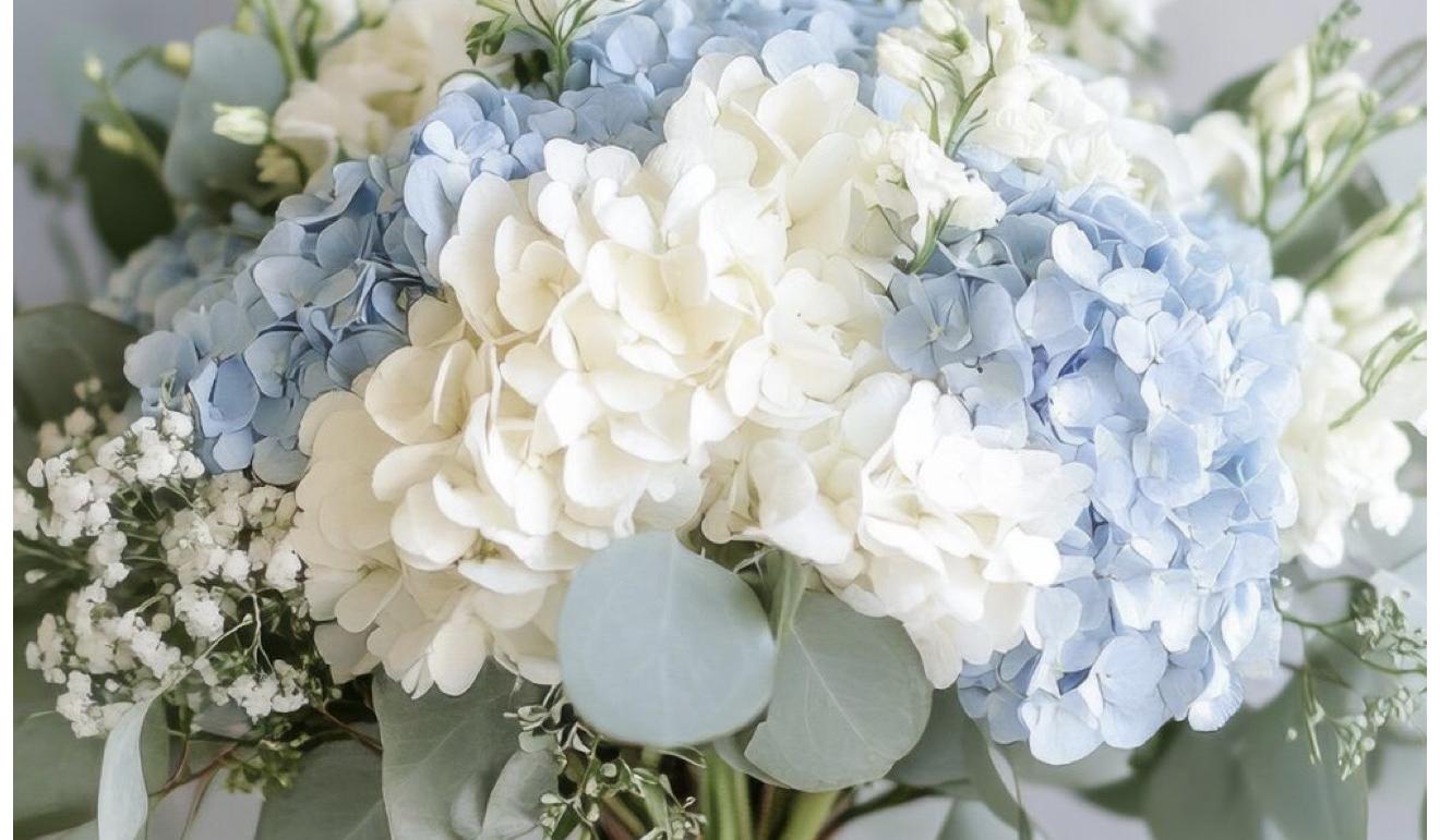The Wedding Website of Jordan Benway and Konner Croft