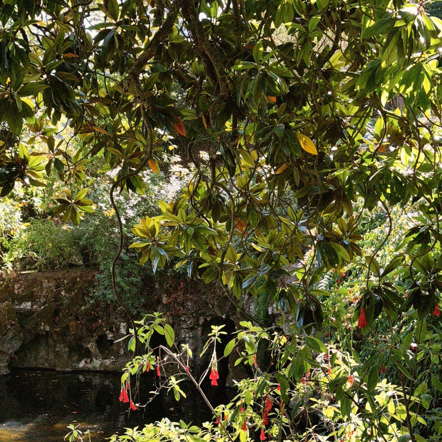 Quinta Da Regaleira – Sintra