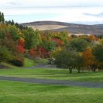 Arboretum & Botanical Garden