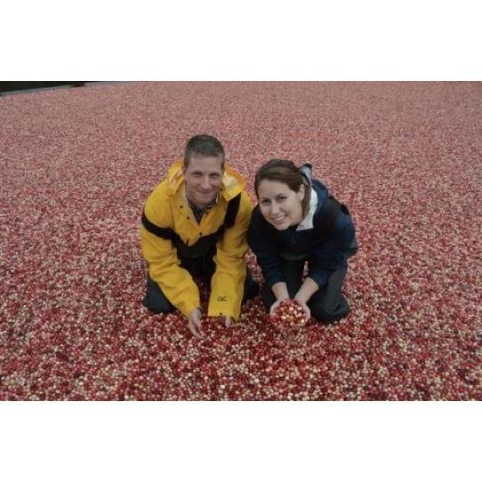 Our first picture together, in a cranberry bog, in Massachusetts!