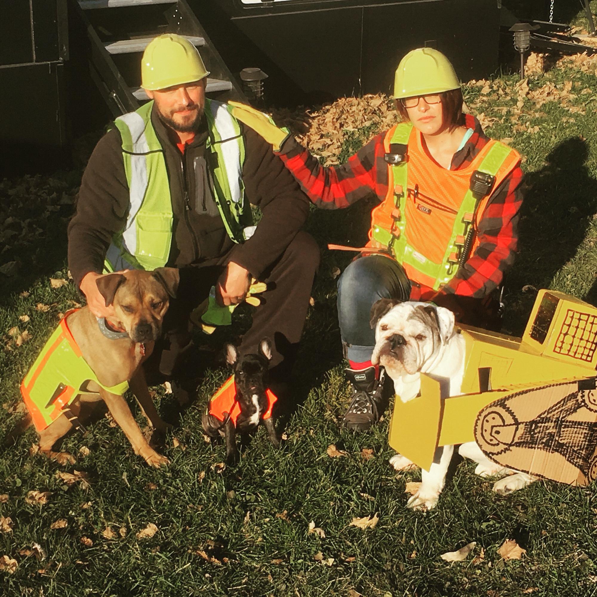 Halloween is our favorite holiday. This was our first family pic with all three dogs! October 2018